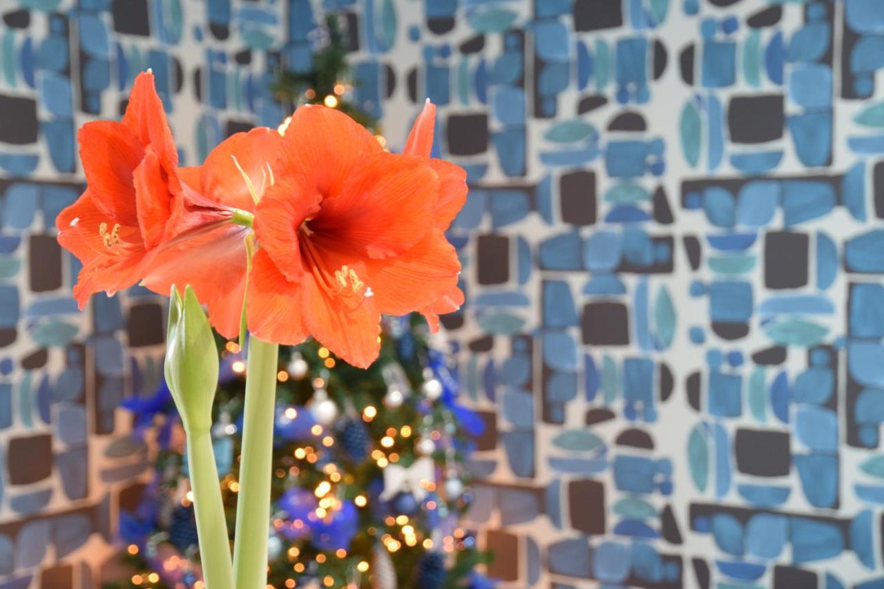 Casa Marino Hotel Соренто Екстериор снимка